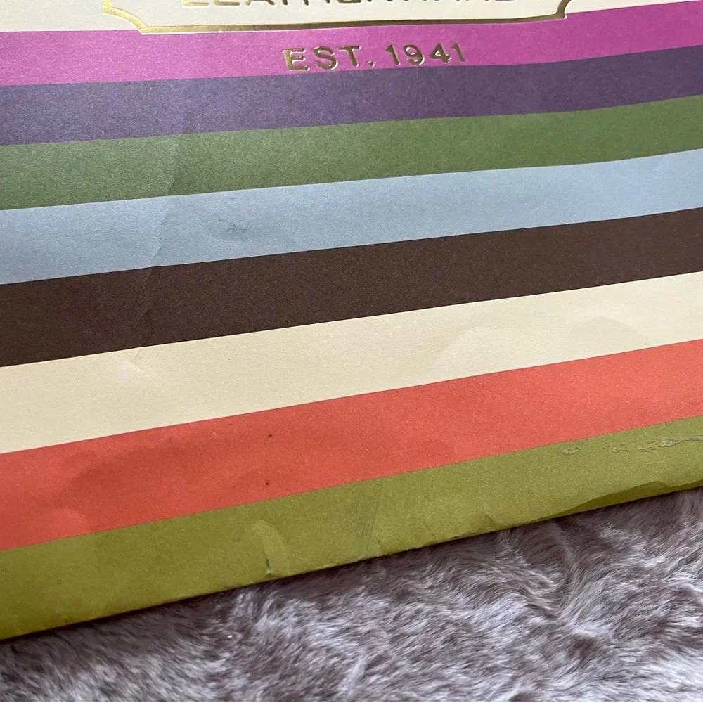 Coach Multicolor Striped XL Gift Box and Shopping Bag B - Picture 4 of 15